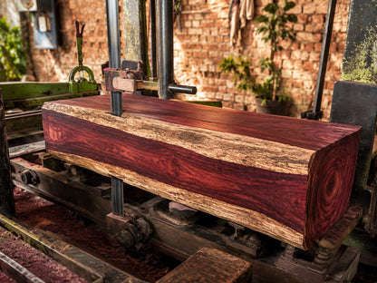 Premium Karnataka Rosewood Logs and Custom-Cut Planks - Image 2
